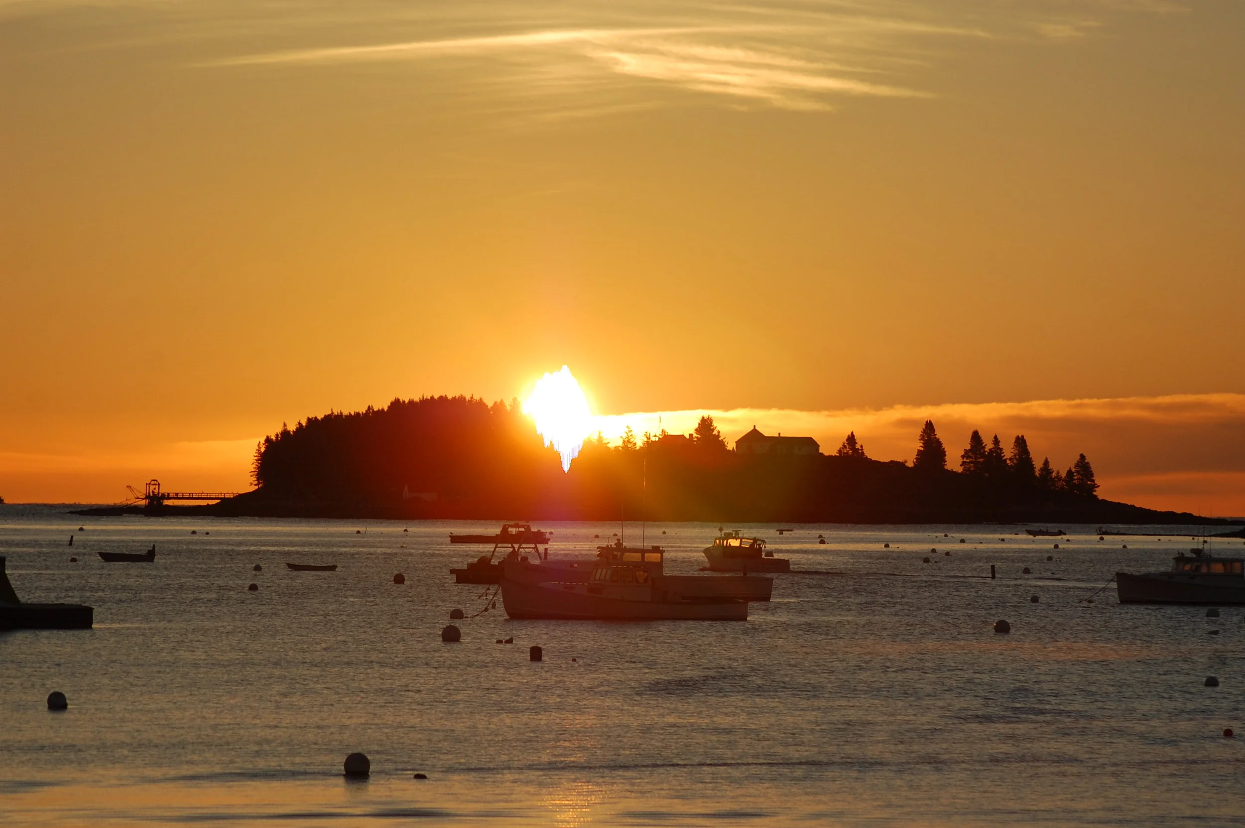 DSC_5978.JPG