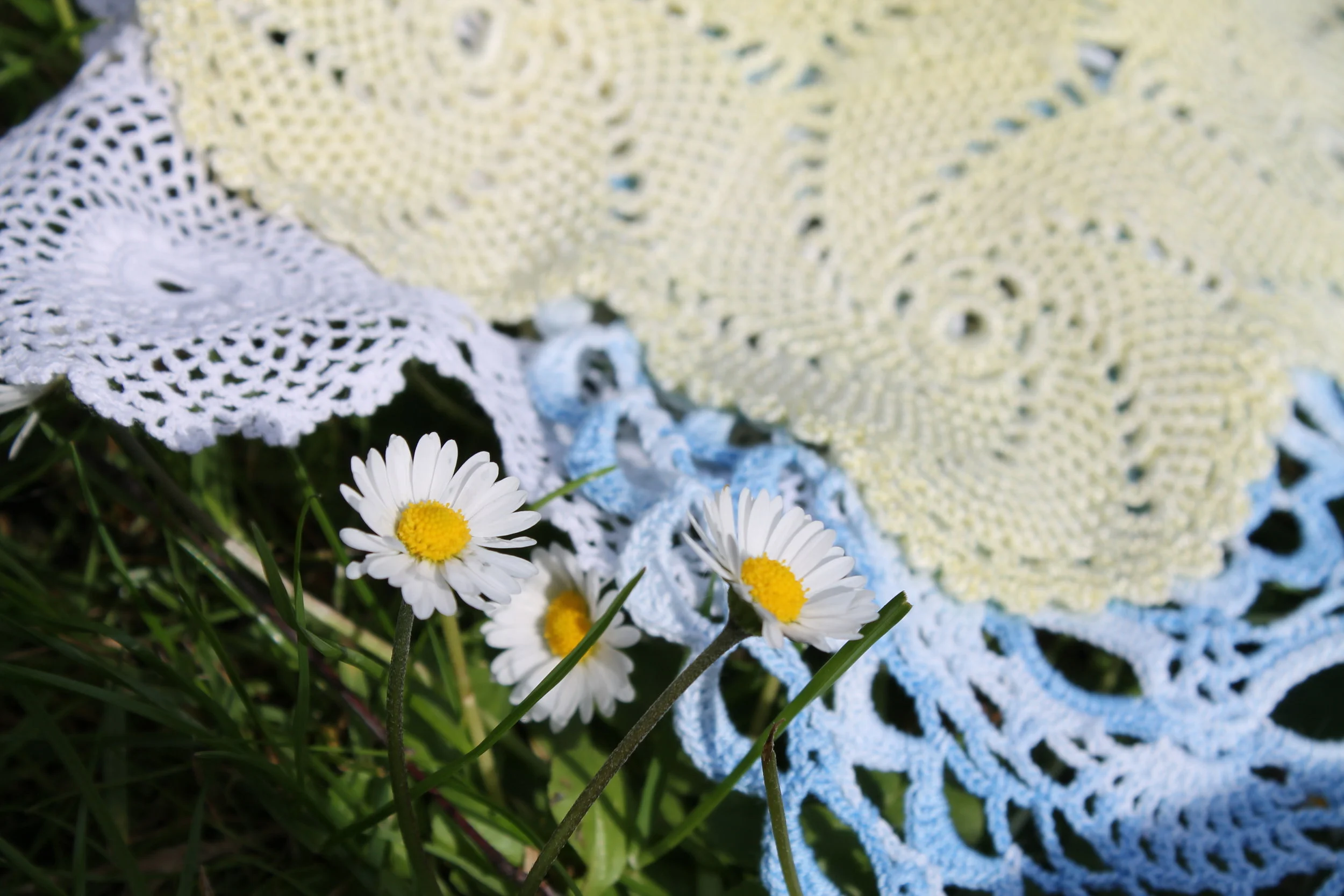 Crochet doilies.JPG