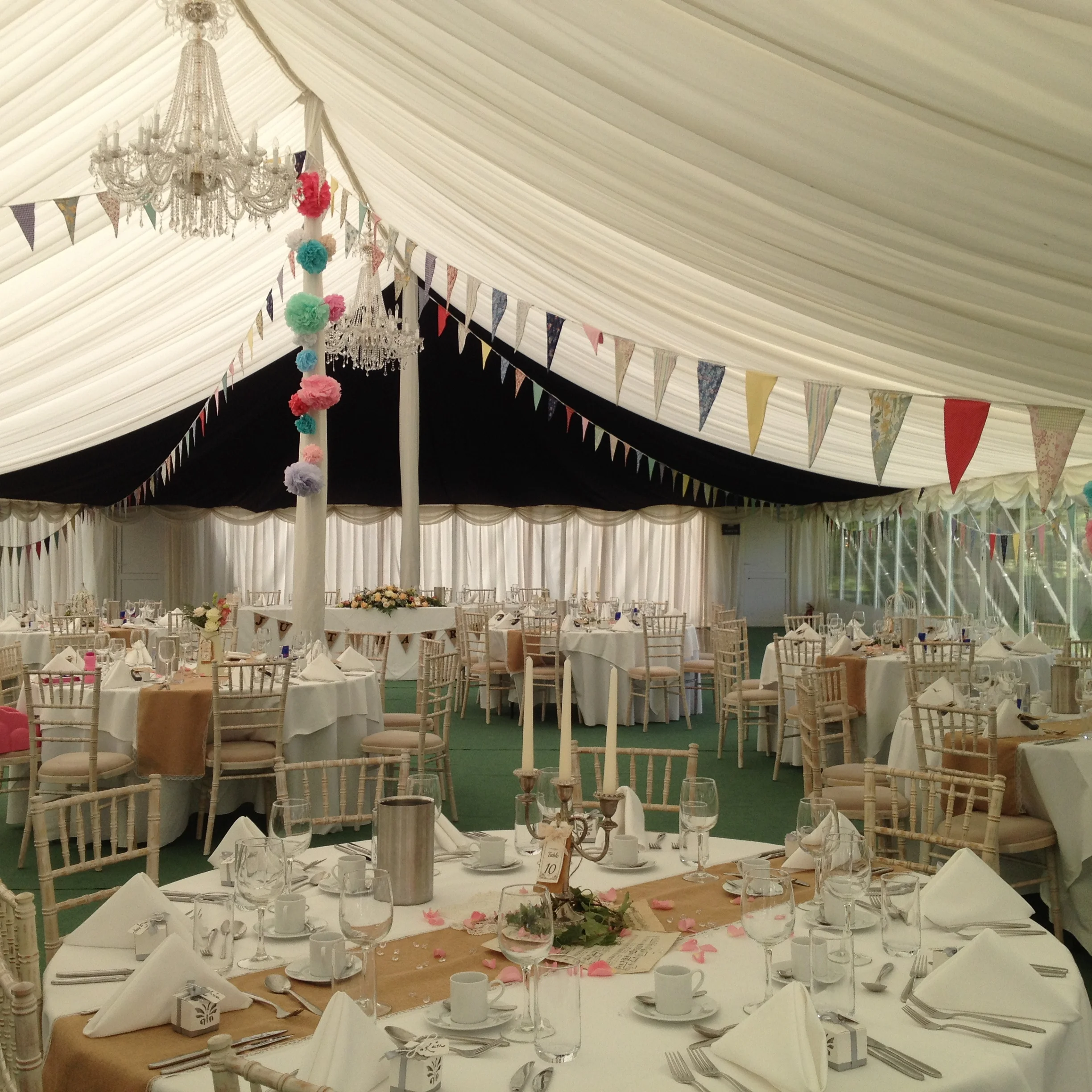 bunting at rectory farm.JPG