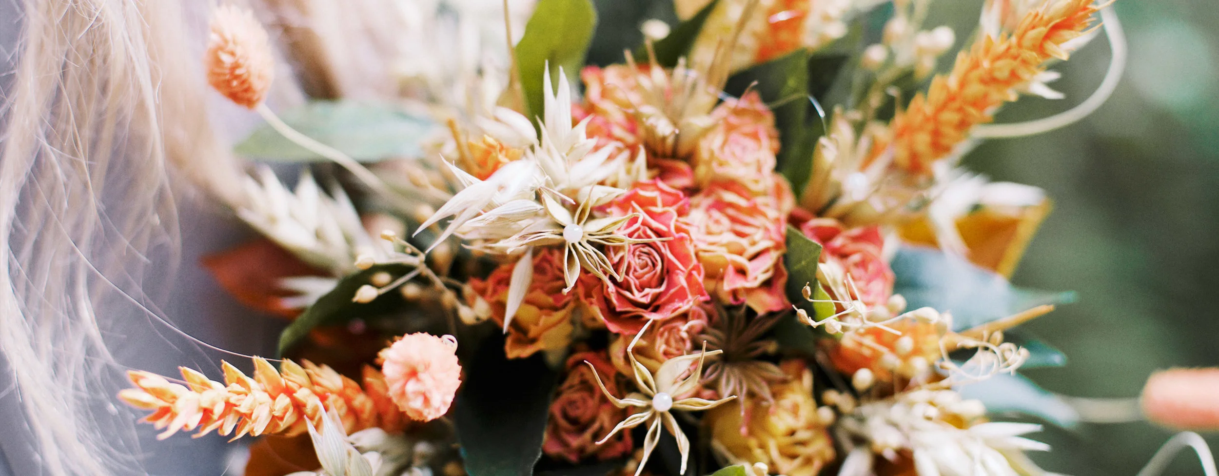 The-Sleeping-Flower-Company-Bright-Dried-Flowers.jpg