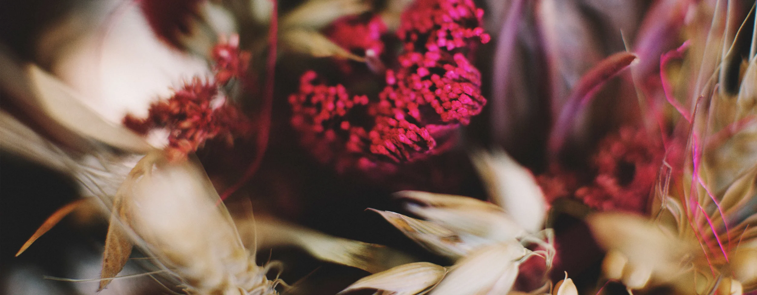 Deep-coloured-dried-flower-arrangment.jpg