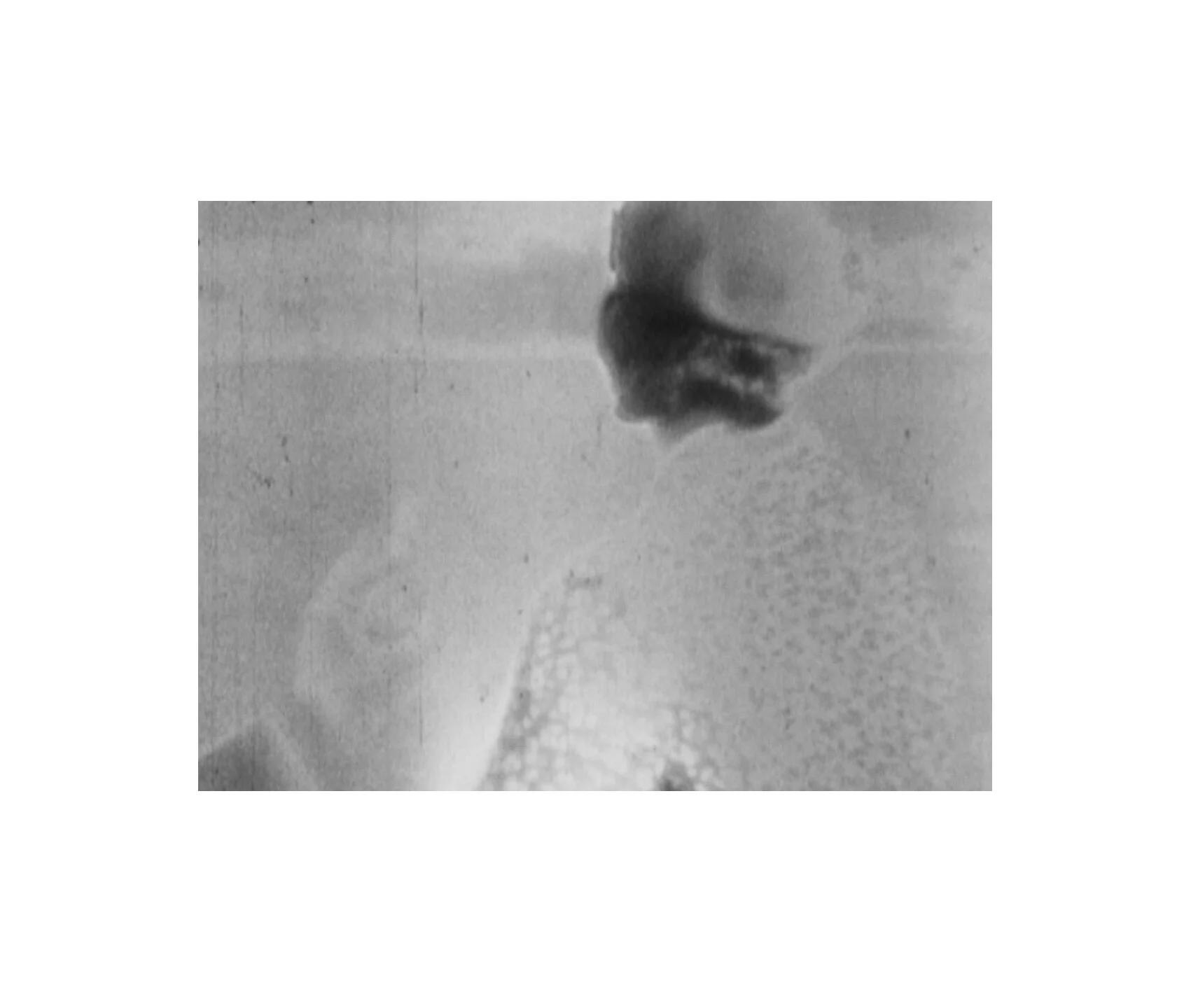 Capture d’écran 2020-03-30 à 16.52.11.jpg