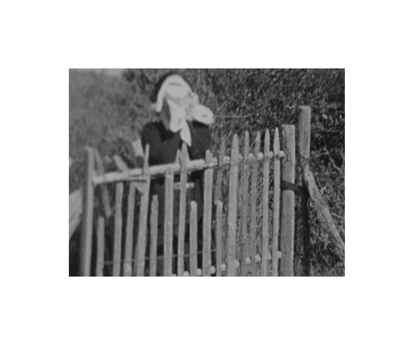 Capture d’écran 2020-03-30 à 16.49.08.jpg