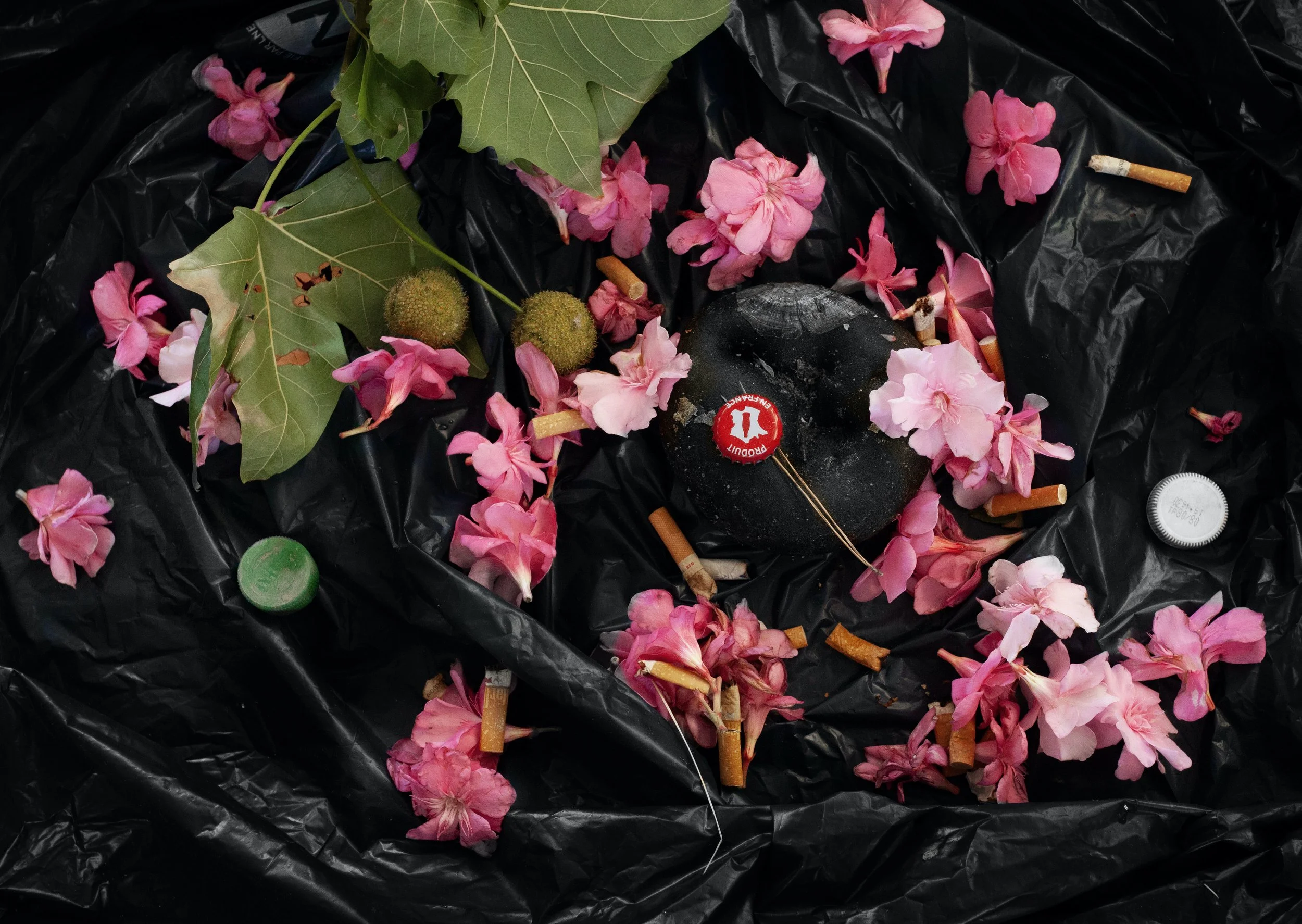 helene bellenger_002 copie.jpg