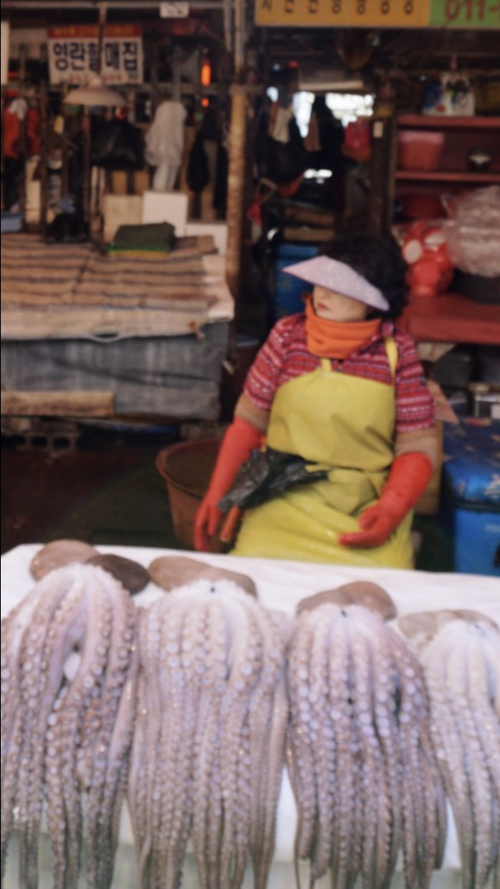 What To Do In Busan Jagalchi Fish Market Hallaroundtheworld