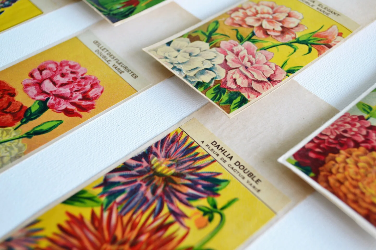 2. for Creative Debuts.jpg