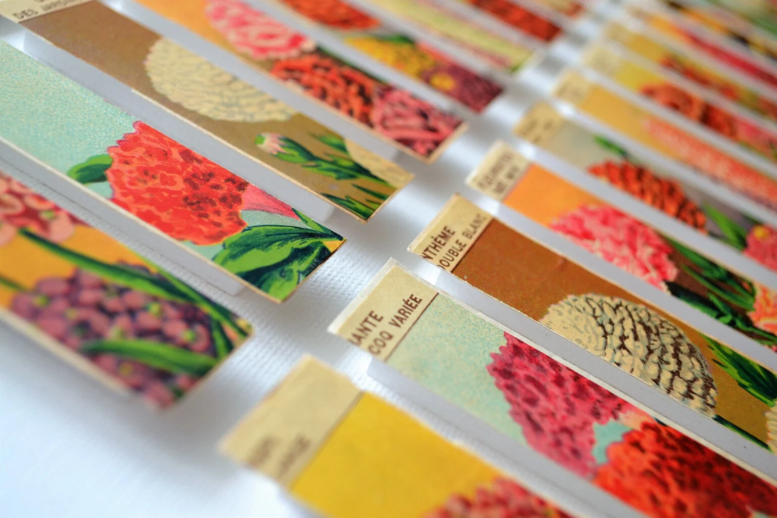 For Creative Debuts.jpg