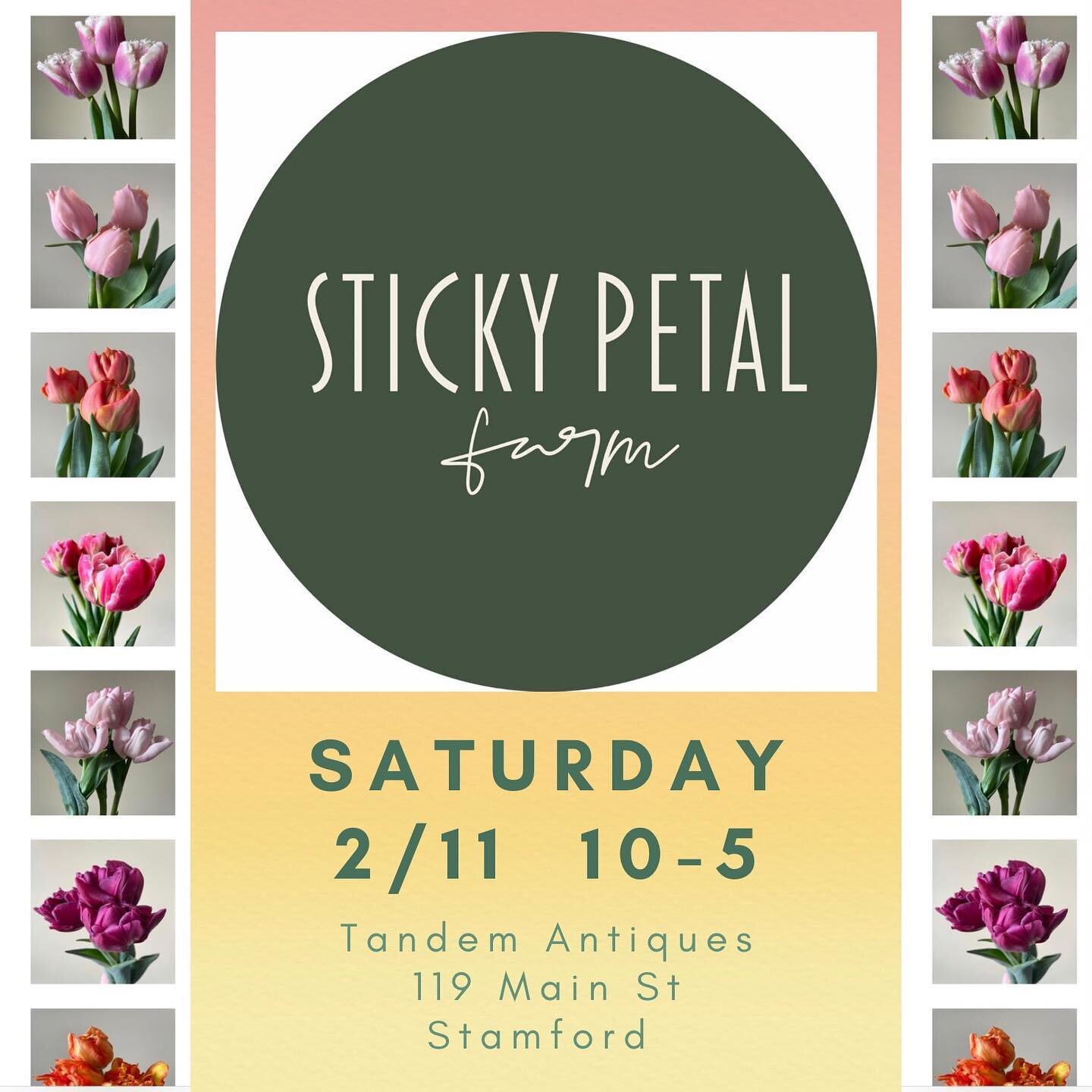 DON&rsquo;T MISS the village-wide ❤️ Valentine Market ❤️ happening in Stamford this Saturday!!
Here at Tandem we are thrilled to be hosting @stickypetalfarm offering fresh beautiful TULIPS!! 
(nothing says winter-doesn&rsquo;t-last-forever-and-spring