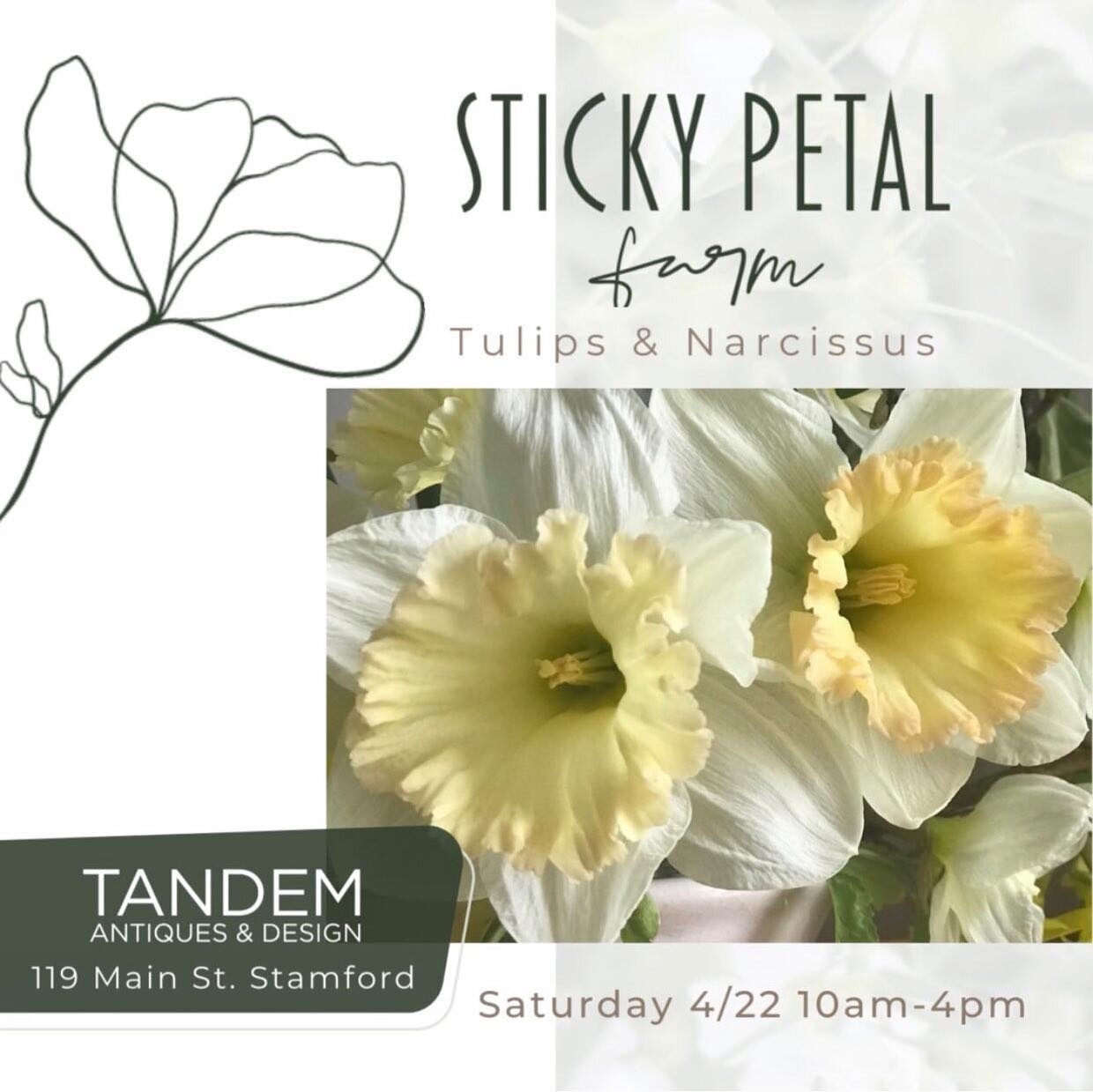 Super excited to share that @stickypetalfarm will be at Tandem Antiques this Saturday for the Stamford Vendor Market!!
Aren&rsquo;t we ALL ready for some flowers?!
The market is 10-4, all through Stamford. Our first ever Earth Day 5K happens that mor