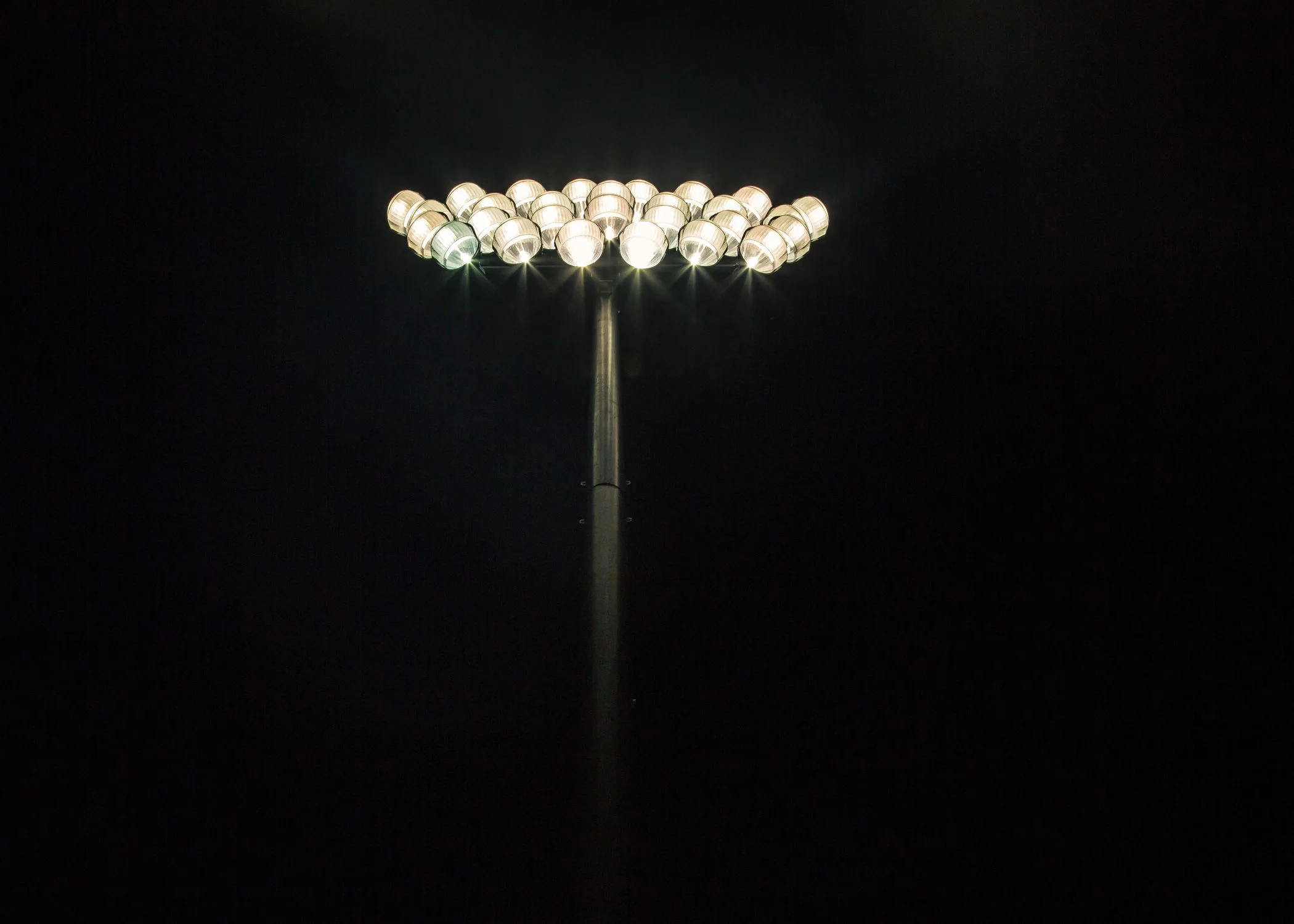 Lightbulbs Matthew Wiebe.jpg