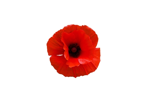 AdobeStock_171590832.jpeg