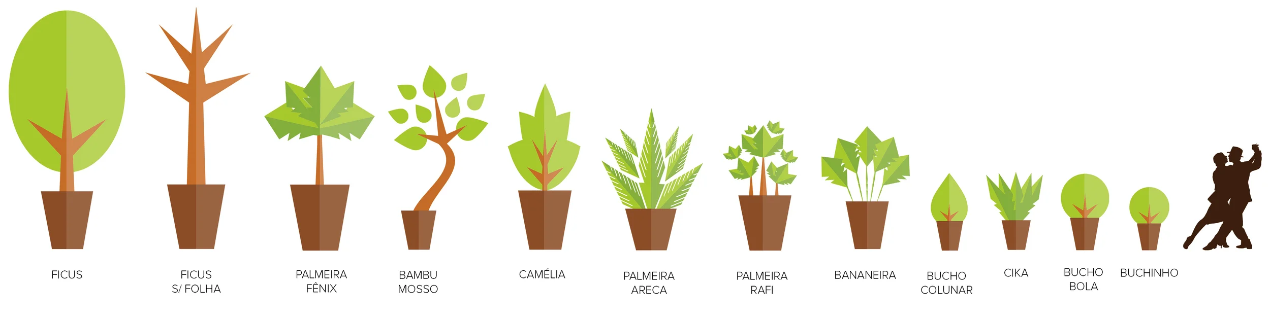  FICUS FICUS PAlMEIRA BAMBU CAMÉLIA PALMEIRA PALMEIRA BANANEIRA BUCHO CIKA BUCHO BUCHINHO S/ FOLHA FÊNIX MOSSO ARECA RAFI COLUNAR BOLA 