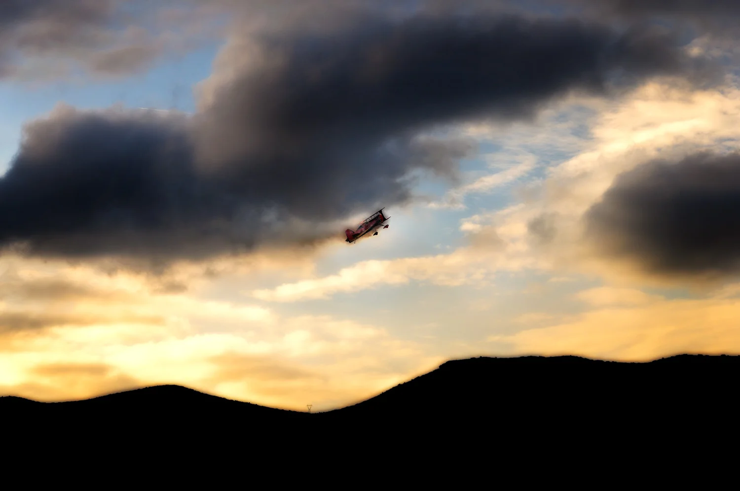Wings_W.jpg