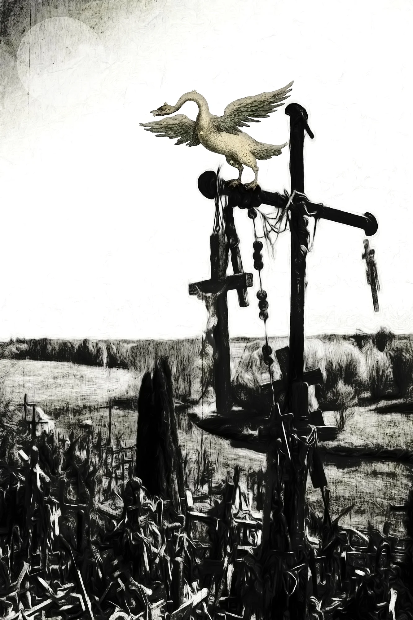 Hill of crosses - Lithuania