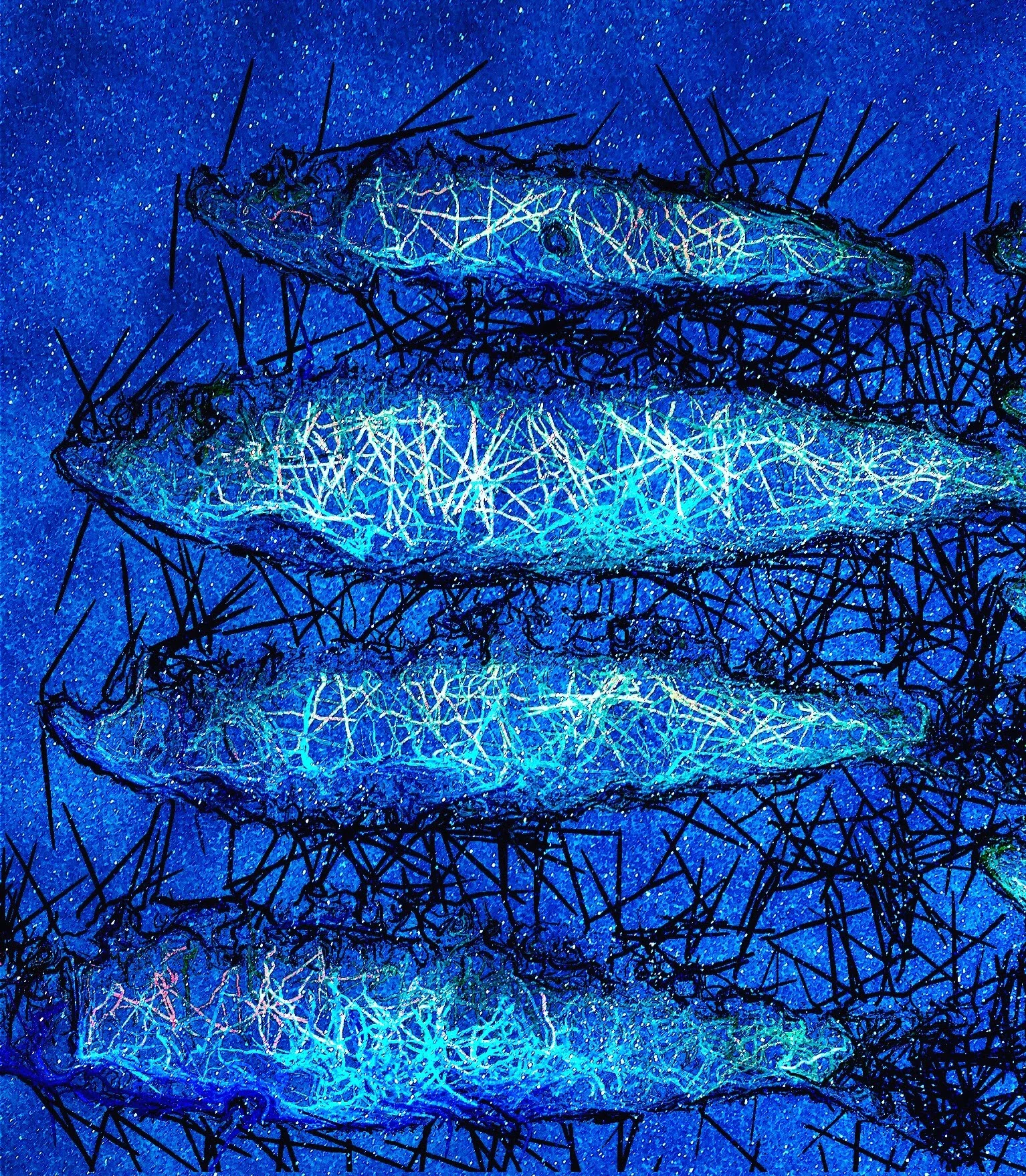Sardines