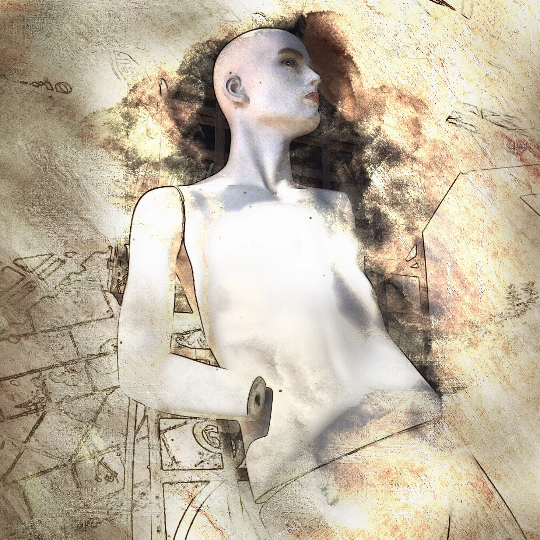 The model
