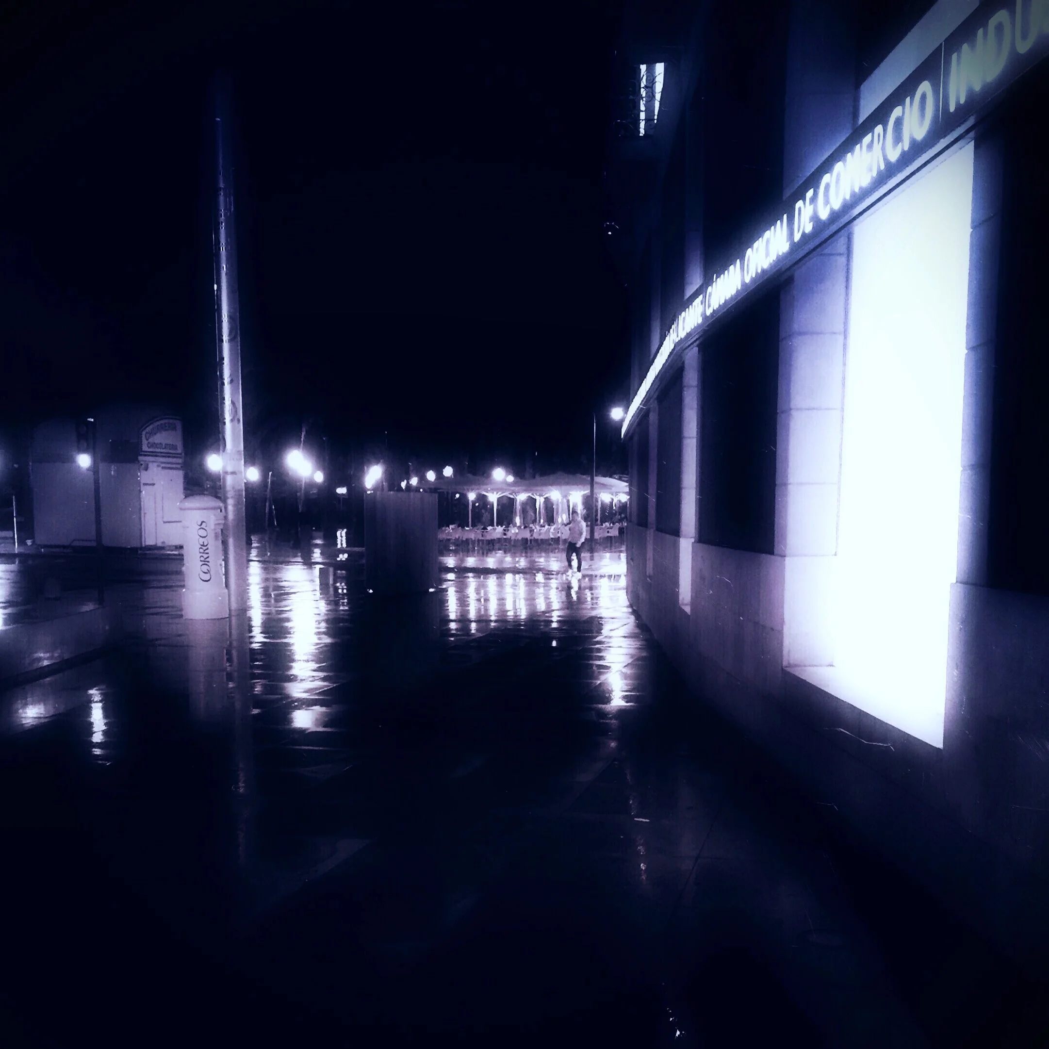 After the rain