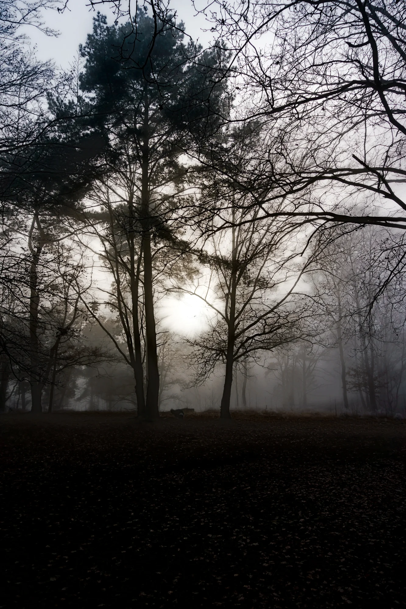 De Kluis - Bolderberg