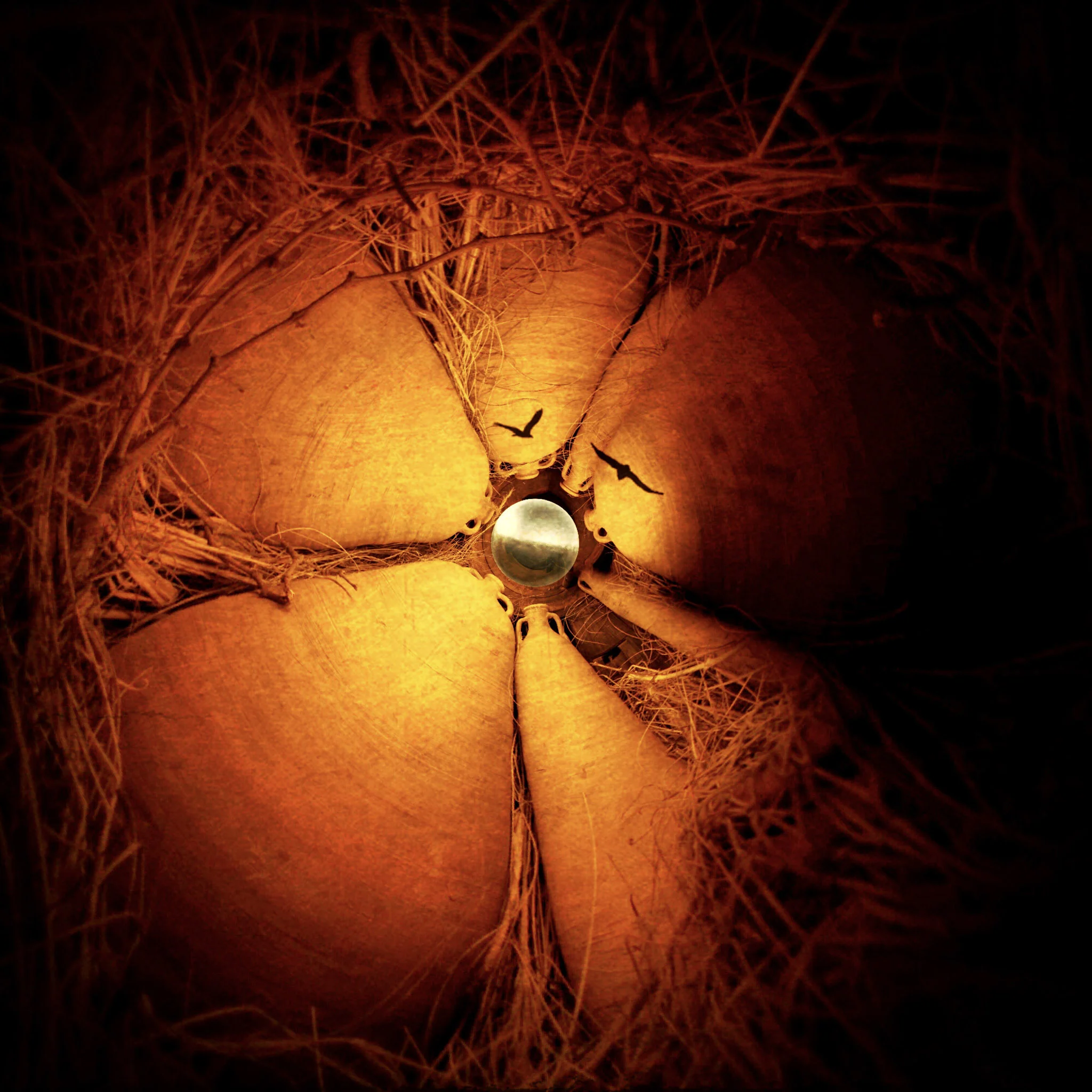 Urn's nest.jpg
