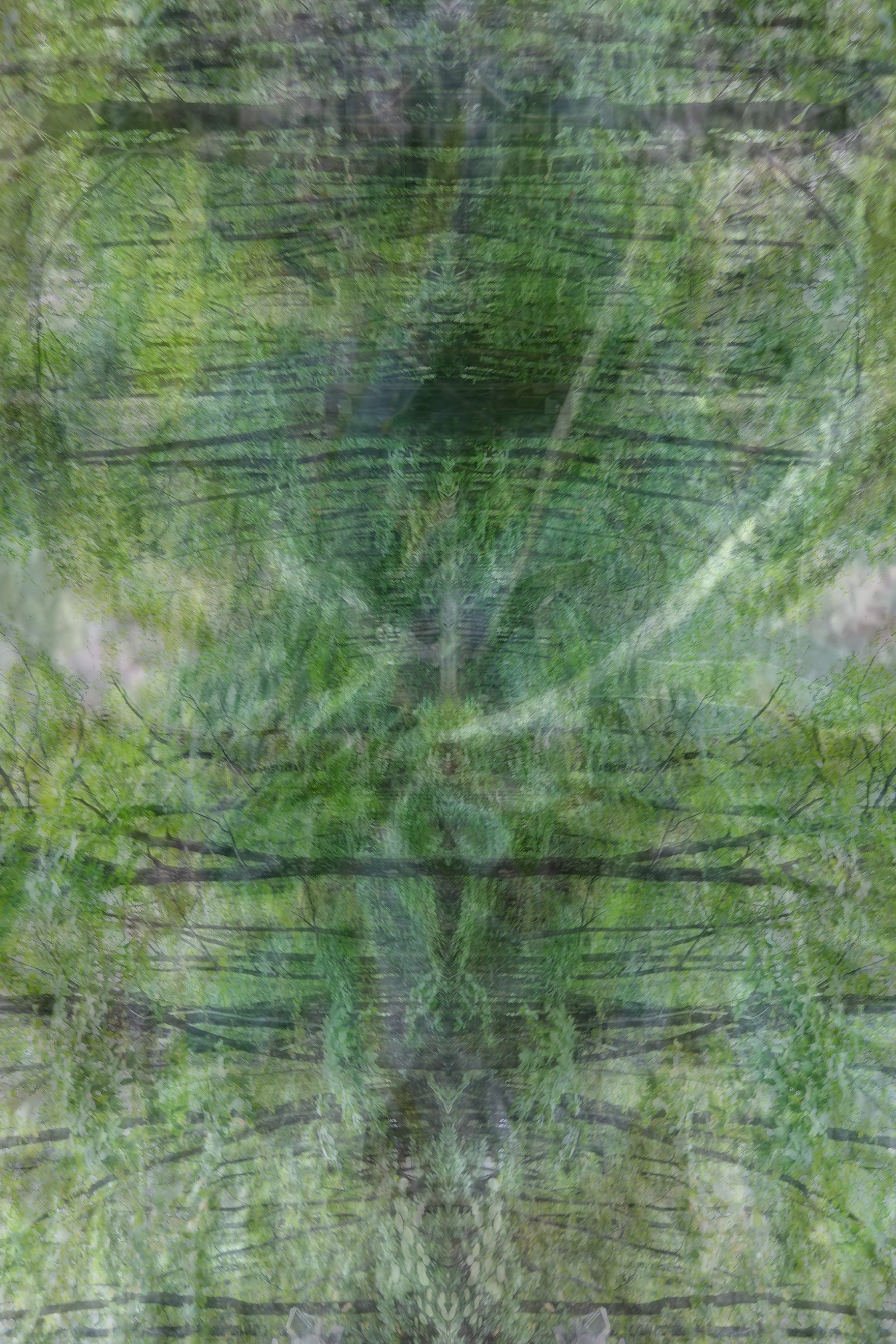 karl-denson-degenerating-gears_brian-moss.jpg