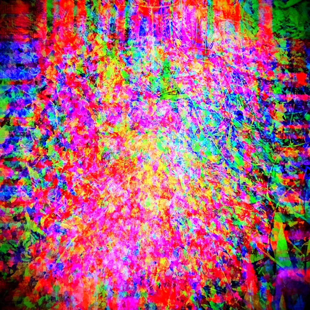 21.58.3_compressed-brian_moss.jpg