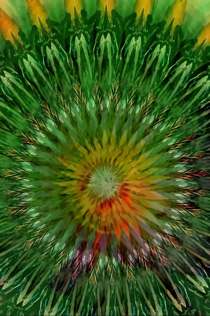 17.2.7_brian-moss-compressed.jpg