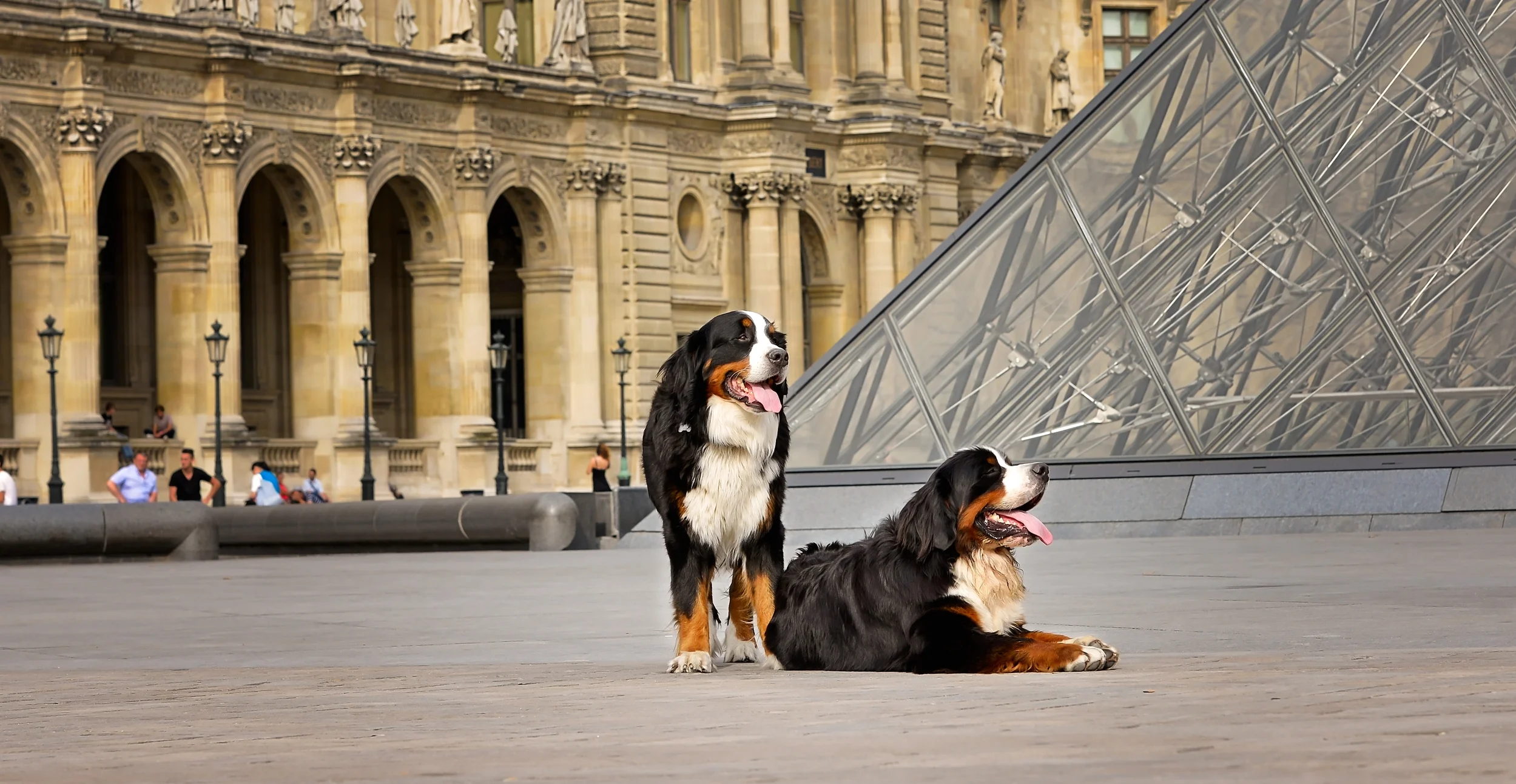DexWinston_louvre_DSC7486HRcropTESTjpg