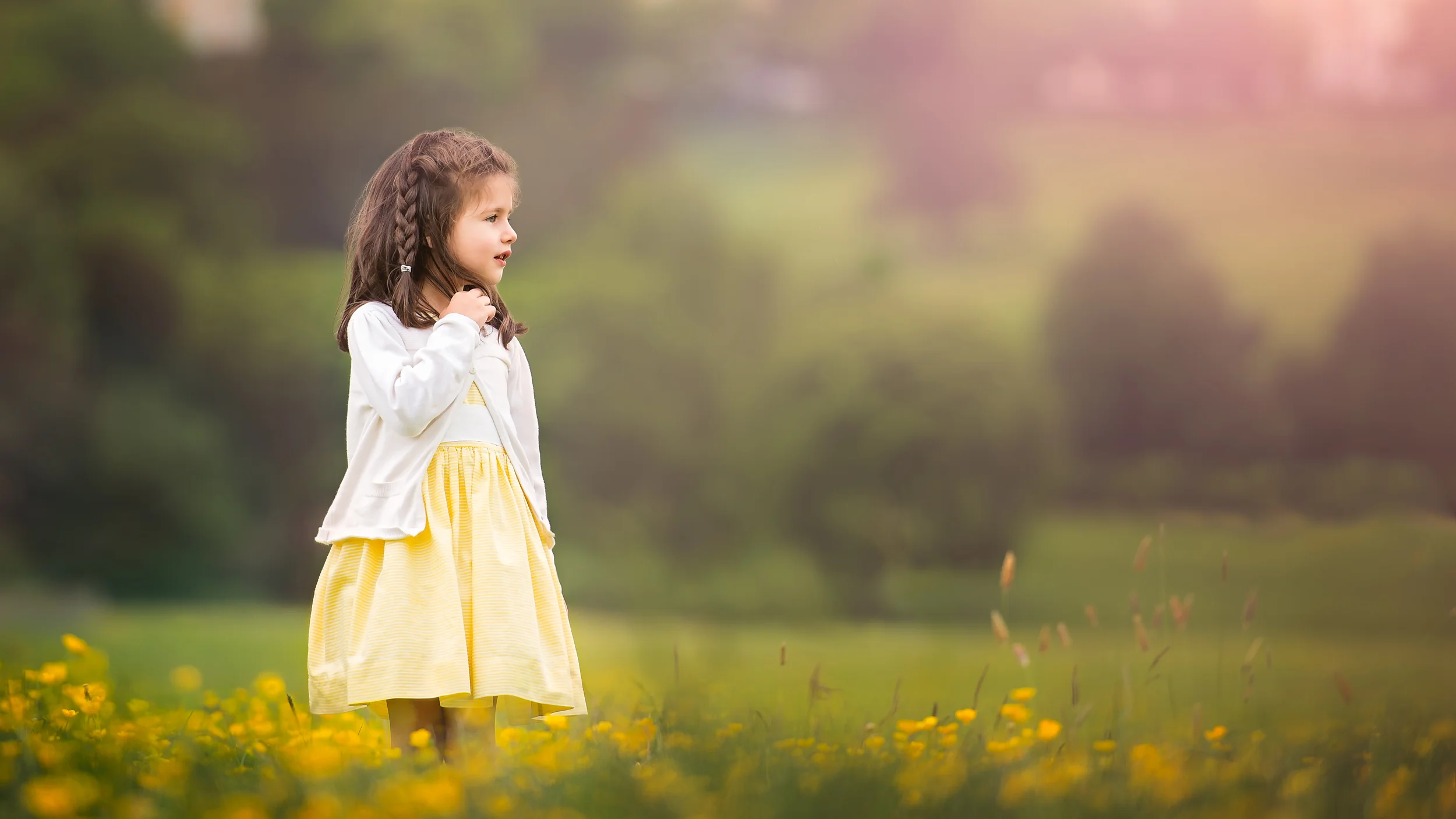 Emily_field_sunflare_2449_HR16x9.jpg