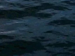 WhatsApp Image 2025-04-22sdf at 9.13.50 PM.jpeg