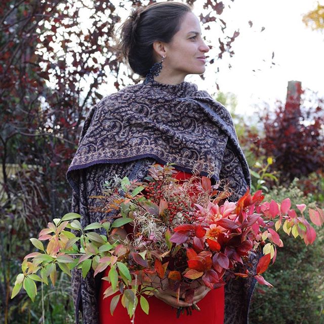 ✨Day 7 of autumn bouquets✨
.
.
✨Richly coloured in a wide sweep🍷✨
.
.
.
#dahliatotallytangerine #autumnbouquet #forsythiafoliage #fallweddinginspiration #gardengathered #canadiangrownflowers #blueberryfoliage #widebouquet #farmerflorist #autumnweddi