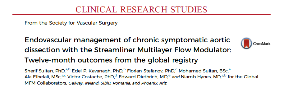 Journal of Vascular Surgery