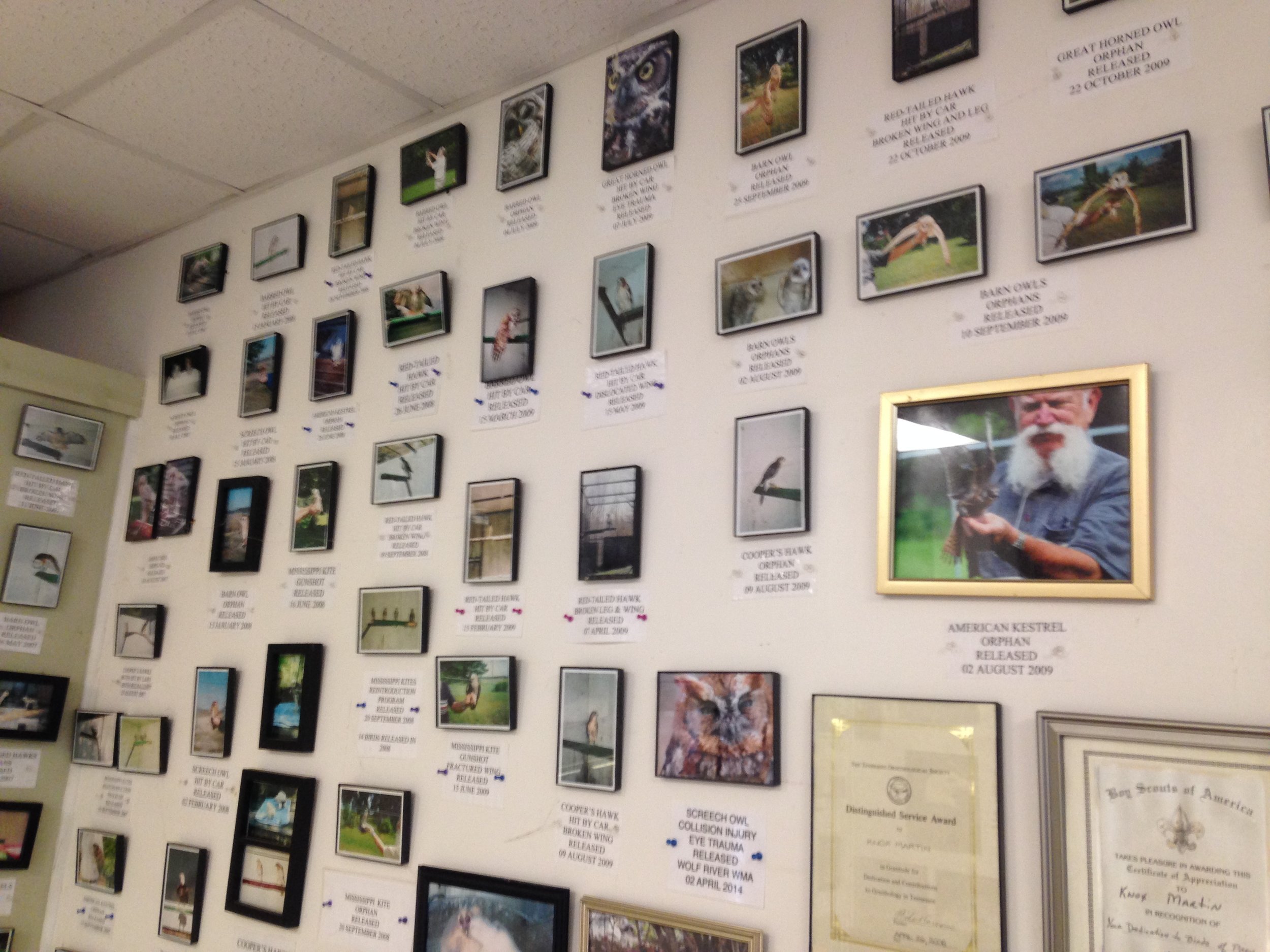 Wall of Fame showing some favorites over the years