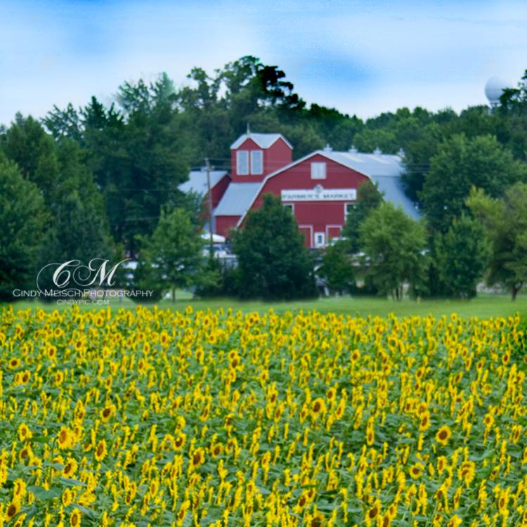 Photo courtesy: Cindy Meisch Photography