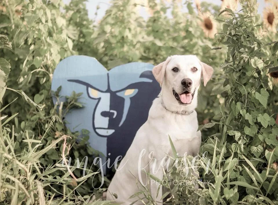 Photo courtesy: Angie Fraiser Photography