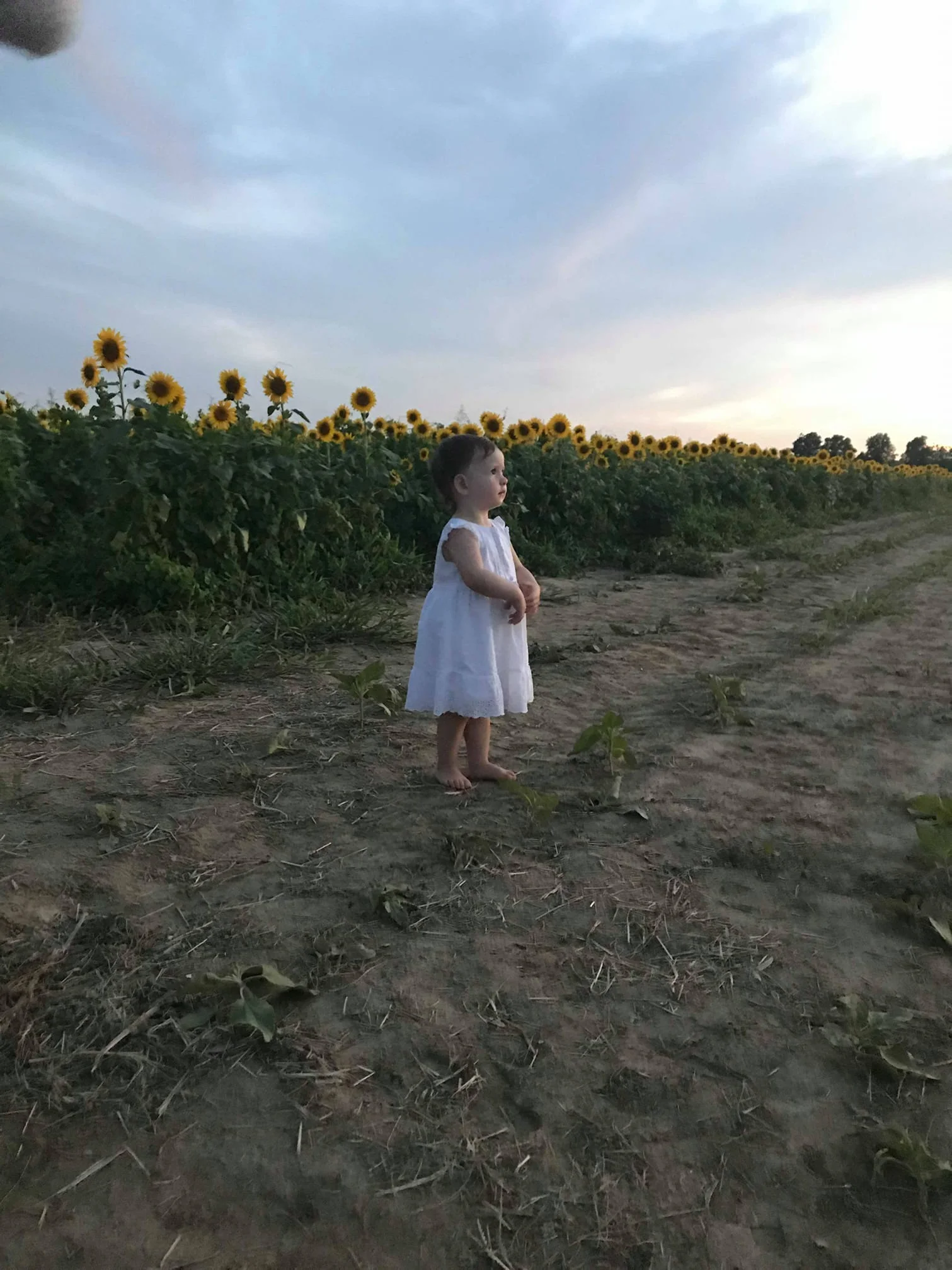 Photo Courtesy: Paige Smith