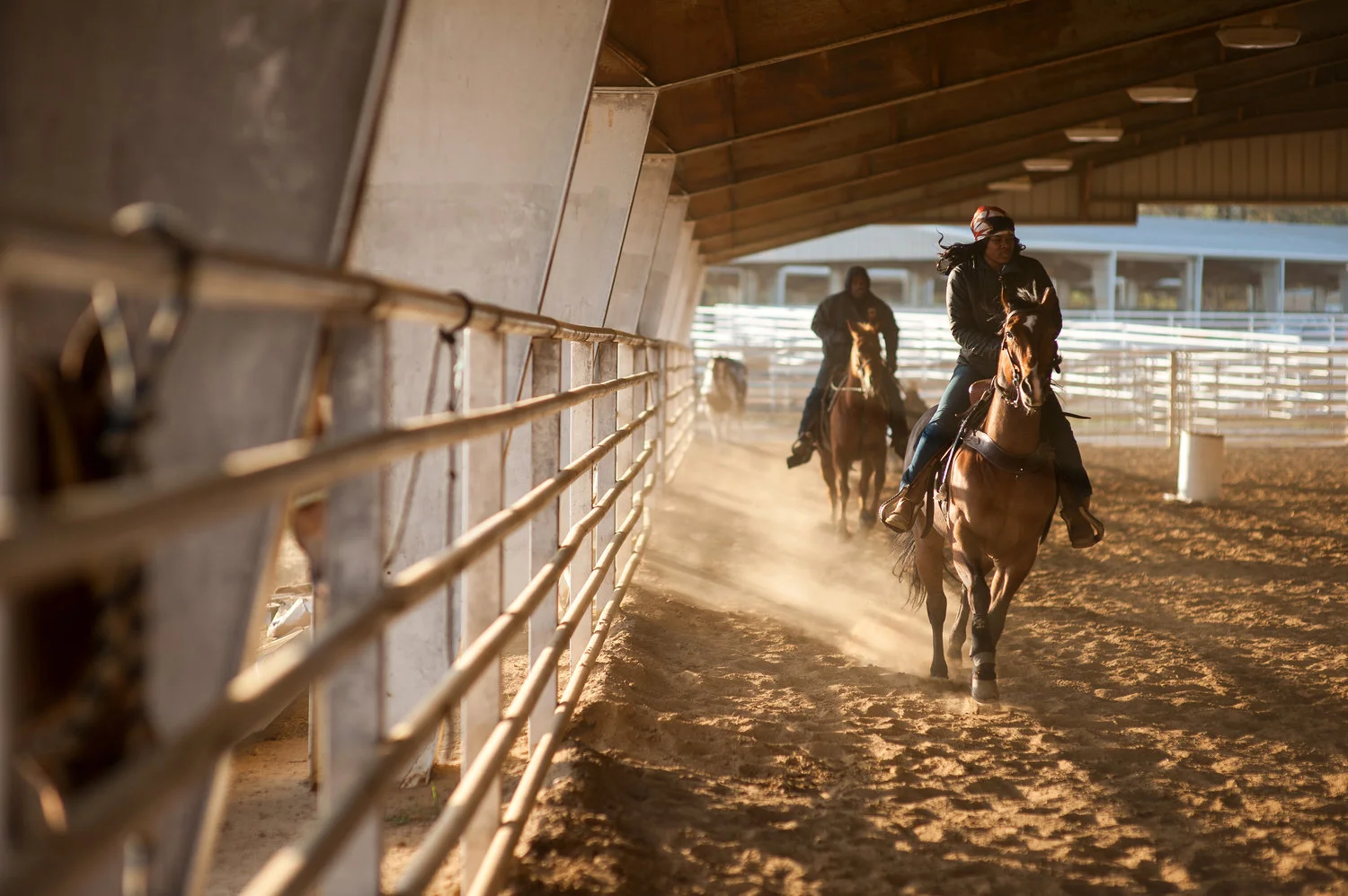 Multipurpose Arena. Photo courtesy: Rory Doyle