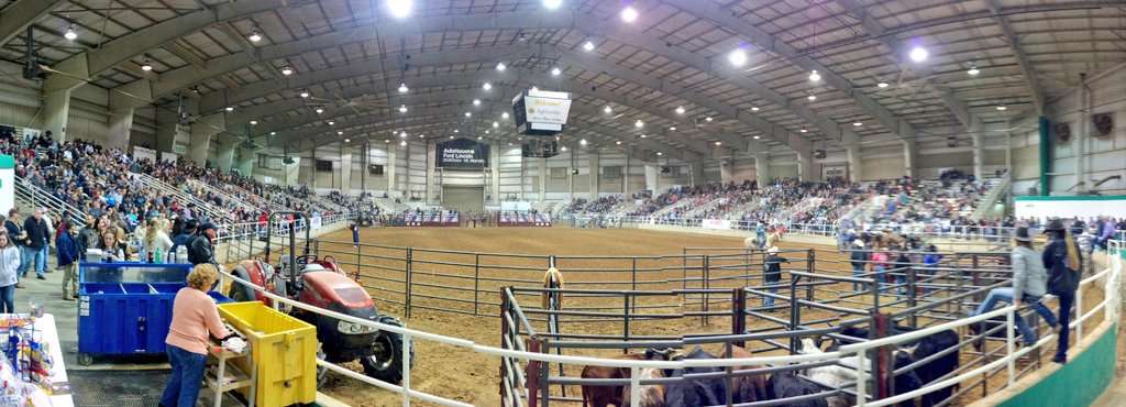 Main Arena