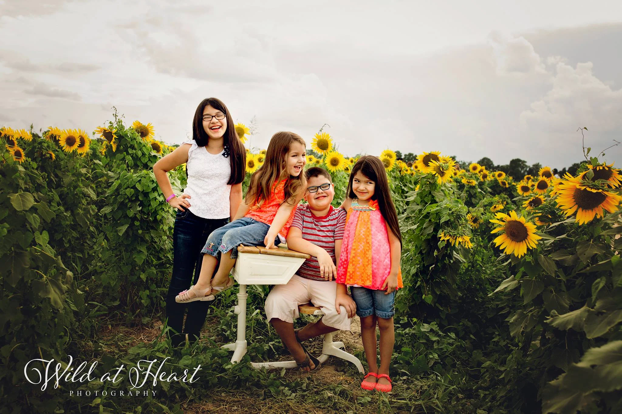 Photo courtesy: Wild at Heart Photography