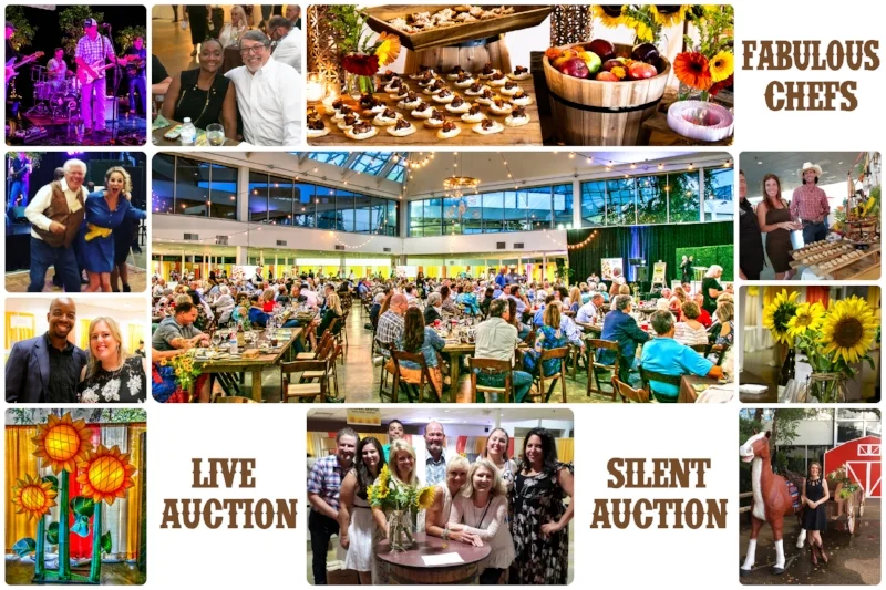 Feast 2018.jpg