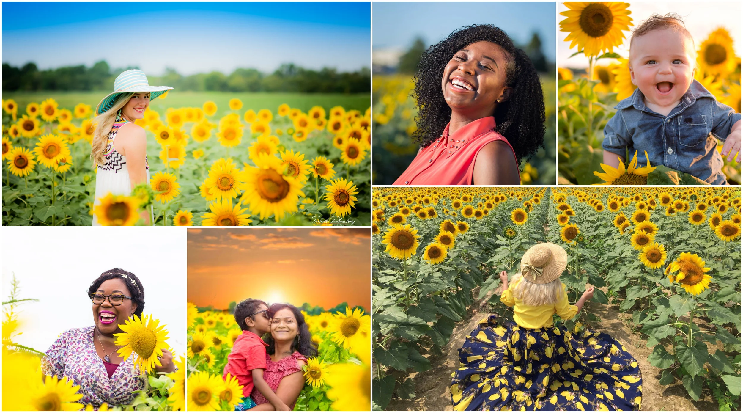 sunflowers 2018.jpg