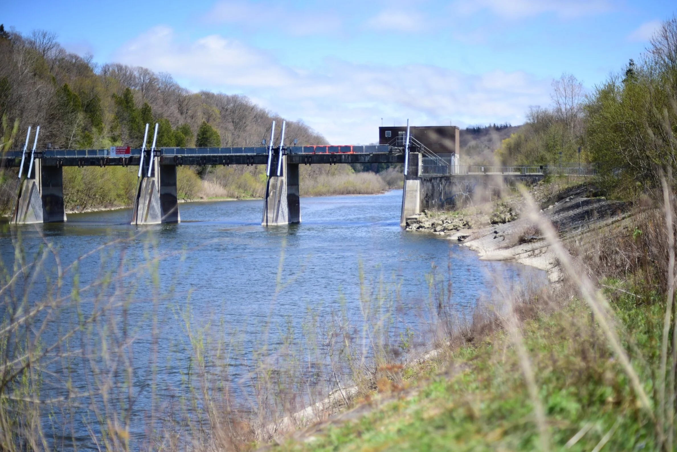 LIFE IN BYRON | 2020