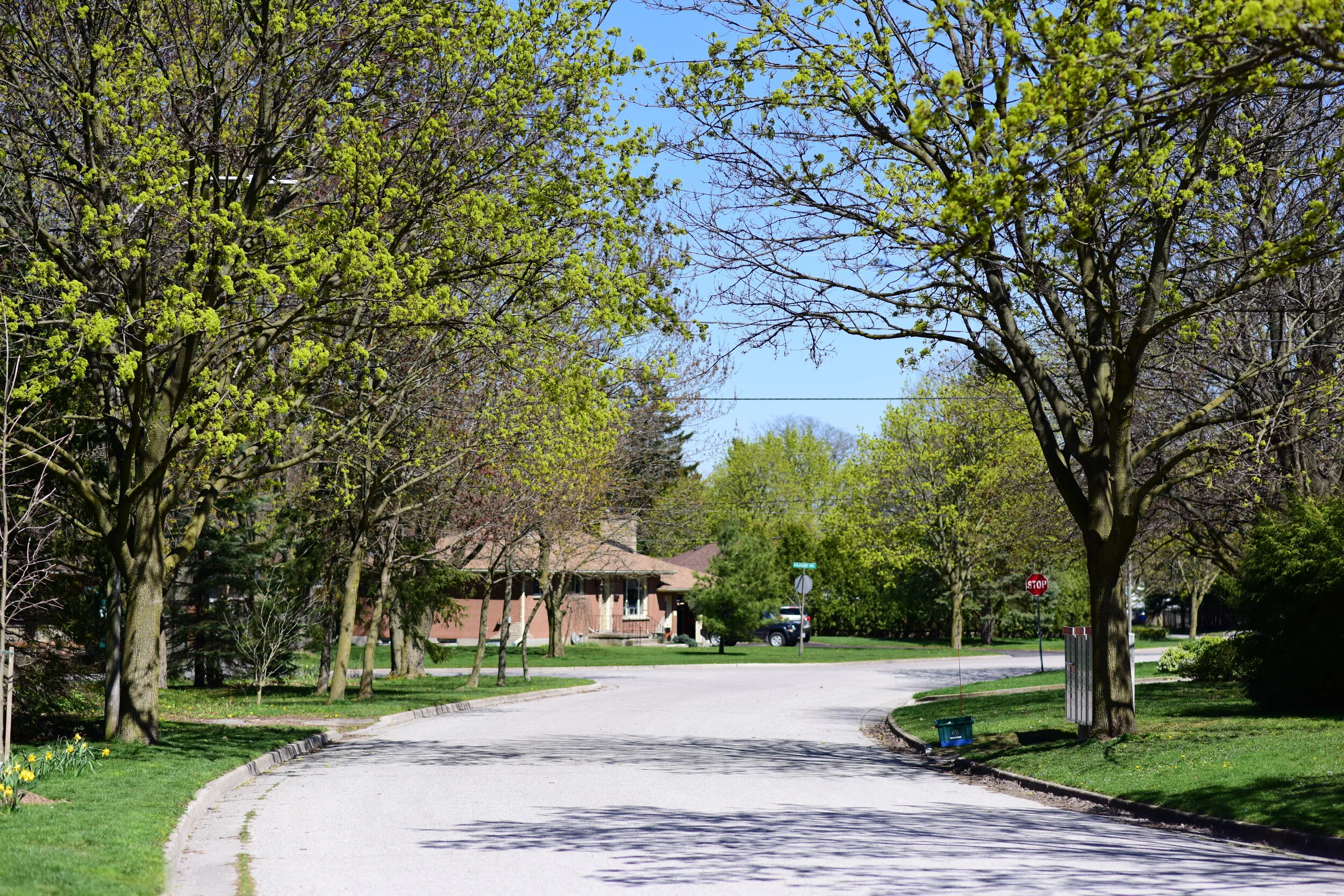 LIFE IN OAKRIDGE  |  2020 