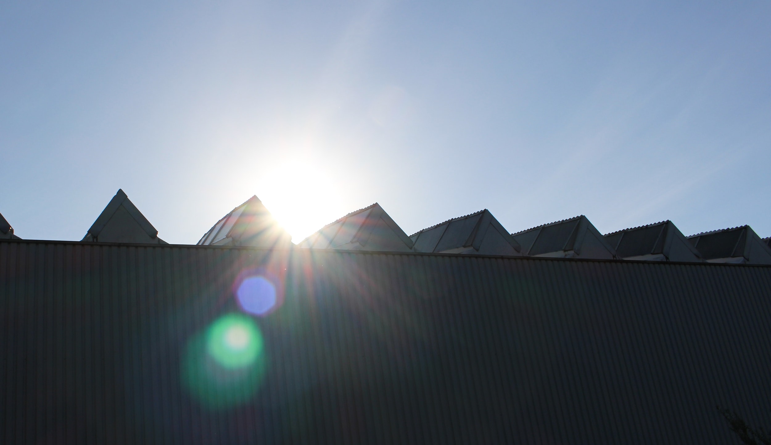 What I Wish I Knew When I Became A Realtor