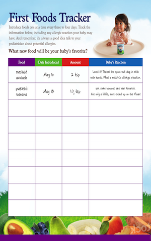 First Foods 2.png
