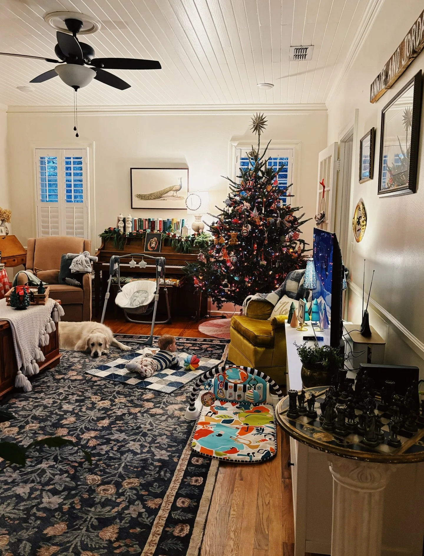 Sometimes I just can&rsquo;t believe it.