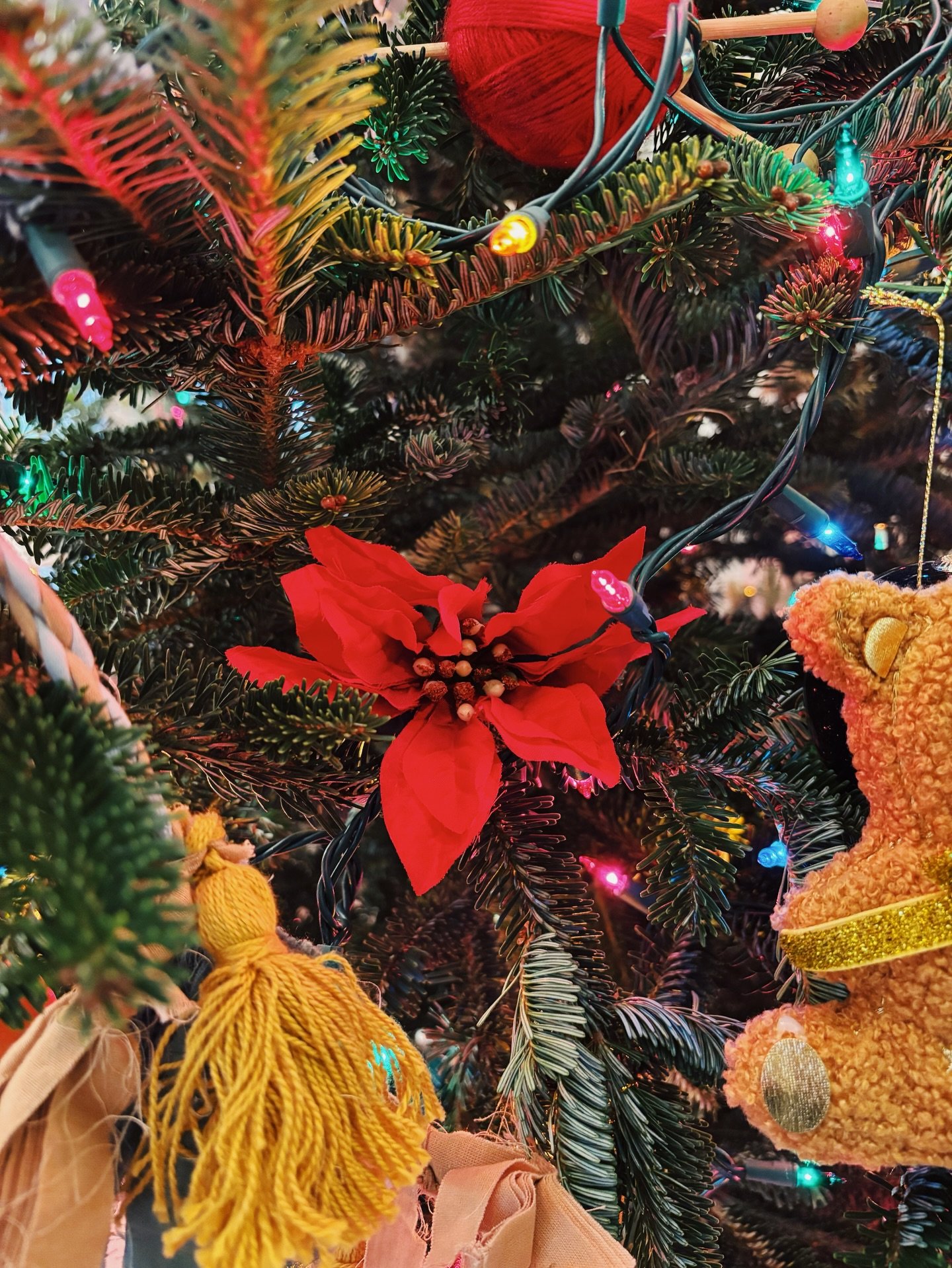 Not pictured: general exhaustion; trying to run a retail business at the end of 2025; a mystery stomach bug (or was it food poisoning?) for Jordan; changing traditions for someone who hates change (me); inexplicable bedtime terror (Isaac); dozens of 