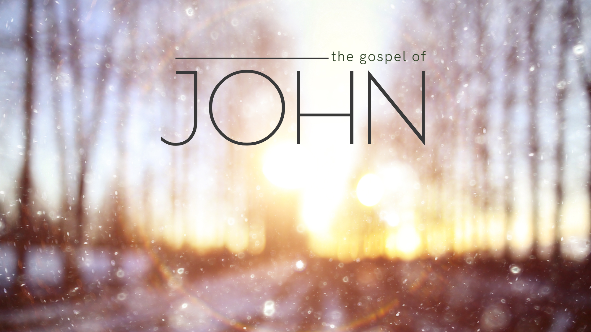 The Gospel Of John | March 30, 2025