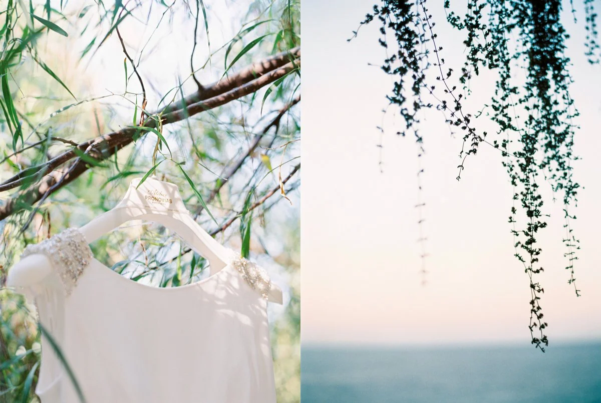 Pronovias Wedding Dress
