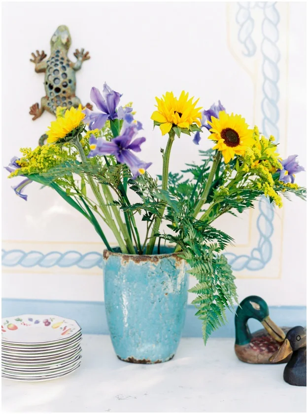 fresh flowers of Ibiza campo