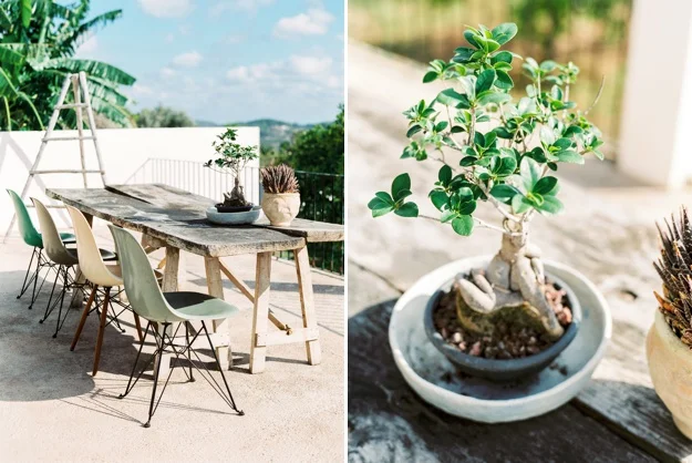 Ibiza casita campo guesthouse